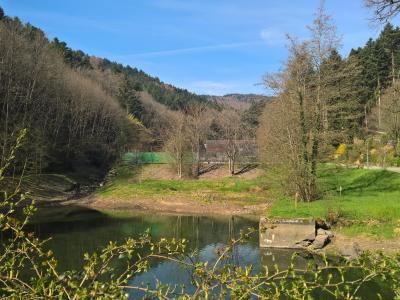 Magnifique Floridor